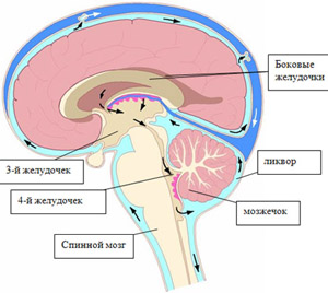 Остеопатия - головокружение